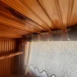 Penthouse,wood Wall,barbecue Roof Garden,authentic Apartment Istanbul