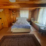 Penthouse,wood Wall,barbecue Roof Garden,authentic