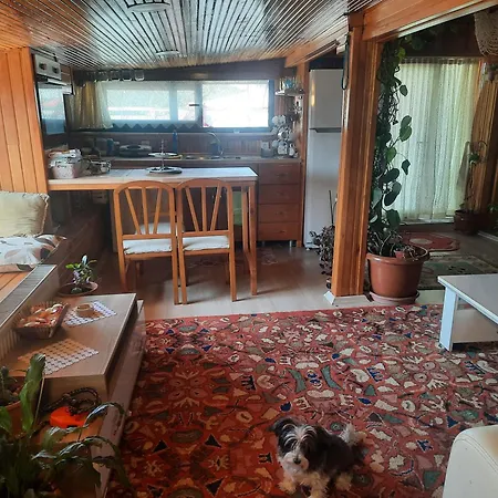 Penthouse,wood Wall,barbecue Roof Garden,authentic Διαμέρισμα *