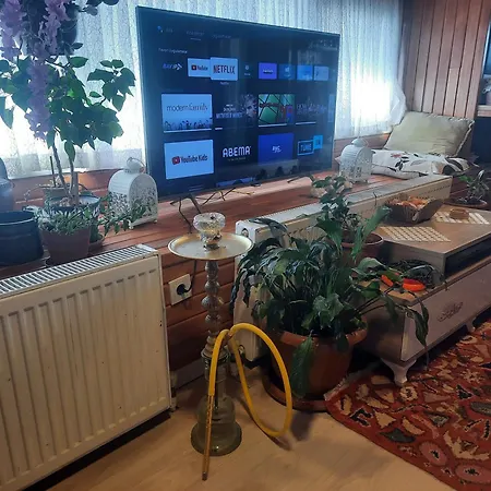 Penthouse,wood Wall,barbecue Roof Garden,authentic