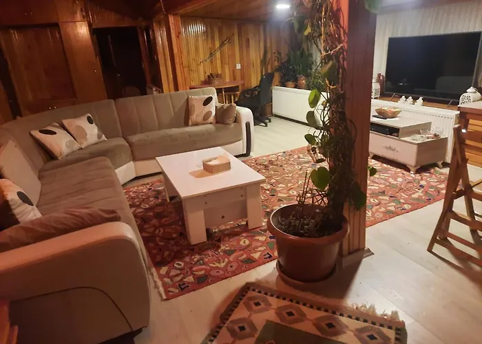 Apartment Penthouse,wood Wall,barbecue Roof Garden,authentic Istanbul