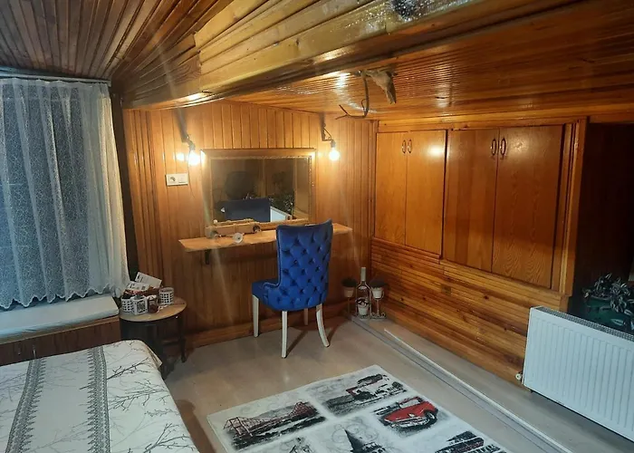 Penthouse,wood Wall,barbecue Roof Garden,authentic * Istanbul