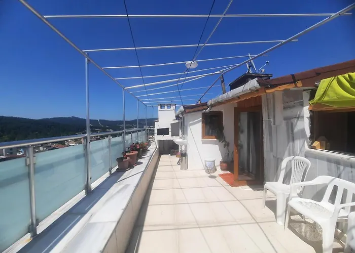 Penthouse,wood Wall,barbecue Roof Garden,authentic Apartment Istanbul