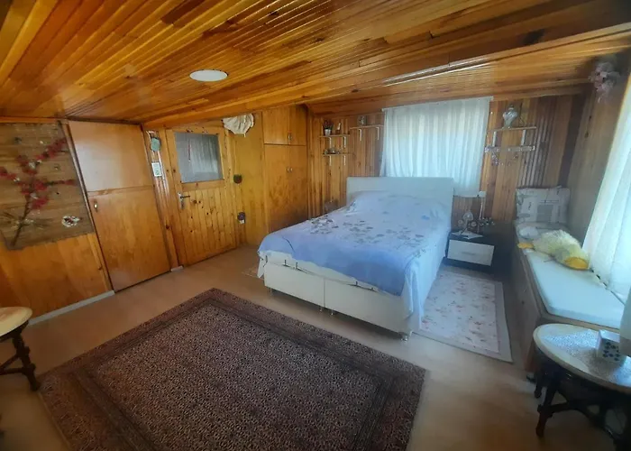 Apartment Penthouse,wood Wall,barbecue Roof Garden,authentic