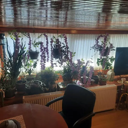 Penthouse,wood Wall,barbecue Roof Garden,authentic * Estambul