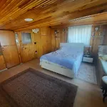 Apartment Penthouse,wood Wall,barbecue Roof Garden,authentic