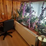 Penthouse,wood Wall,barbecue Roof Garden,authentic