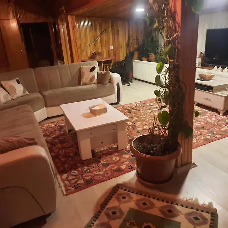 Апартаменты Penthouse,wood Wall,barbecue Roof Garden,authentic Стамбул