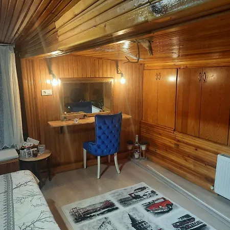 Penthouse,wood Wall,barbecue Roof Garden,authentic * Istanbul