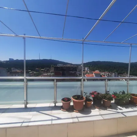Penthouse,wood Wall,barbecue Roof Garden,authentic * Стамбул