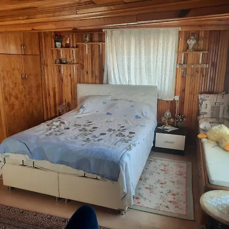 Penthouse,wood Wall,barbecue Roof Garden,authentic * Istanbul