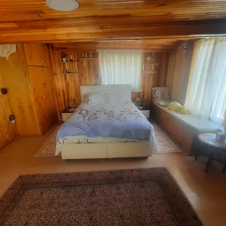 Penthouse,wood Wall,barbecue Roof Garden,authentic