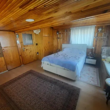 Lejlighed Penthouse,wood Wall,barbecue Roof Garden,authentic