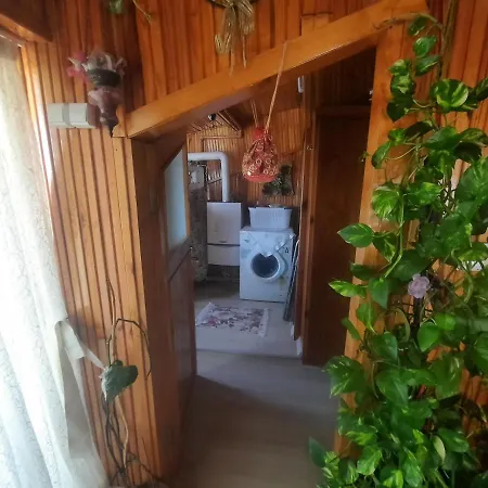 Penthouse,wood Wall,barbecue Roof Garden,authentic Istanbul