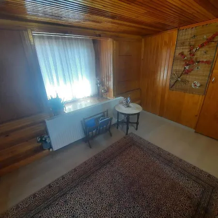 Penthouse,wood Wall,barbecue Roof Garden,authentic
