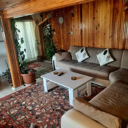 Penthouse,wood Wall,barbecue Roof Garden,authentic Lejlighed *