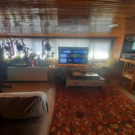 Апартаменты Penthouse,wood Wall,barbecue Roof Garden,authentic Стамбул