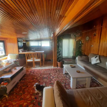 Penthouse,wood Wall,barbecue Roof Garden,authentic * Istanbul