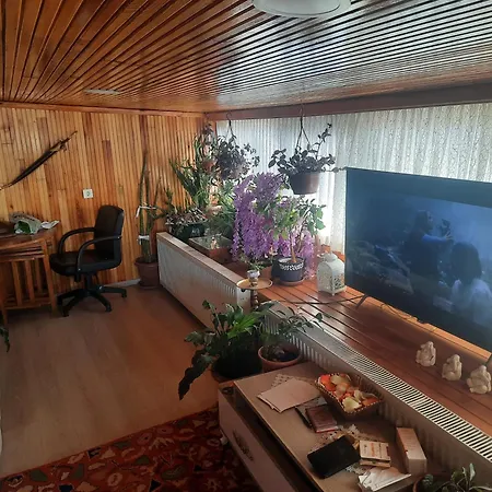 Penthouse,wood Wall,barbecue Roof Garden,authentic Апартаменты