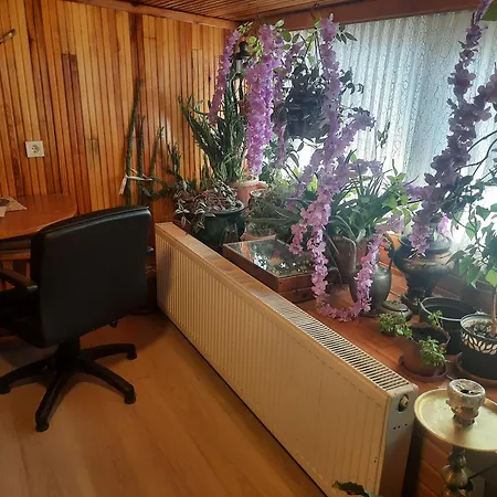 Penthouse,wood Wall,barbecue Roof Garden,authentic