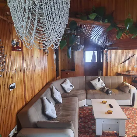 Penthouse,wood Wall,barbecue Roof Garden,authentic Istanbul